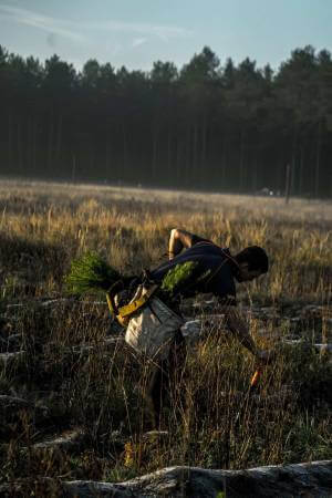 man in forest